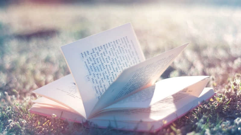 “自己生日那天一定要这样发,高级感绝了~”_wishdown.com “自己生日那天一定要这样发,高级感绝了~”_wishdown.com