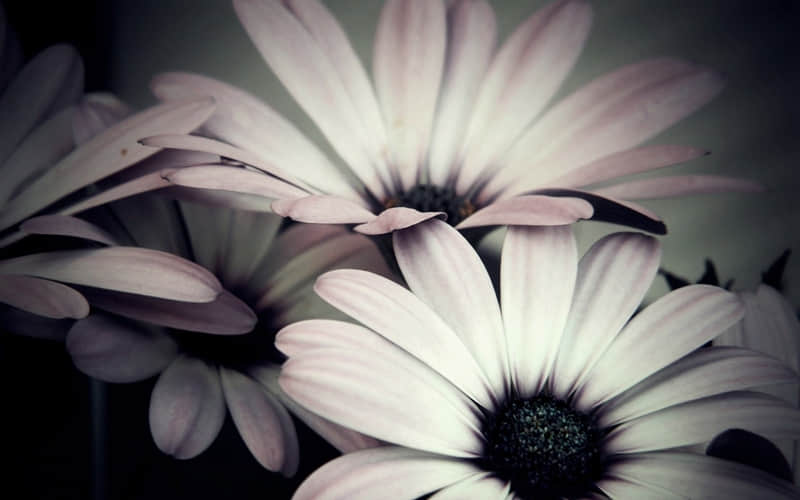 ��3��1�գ�����󷽵��㣬����Ȧһ��Ҫ��������