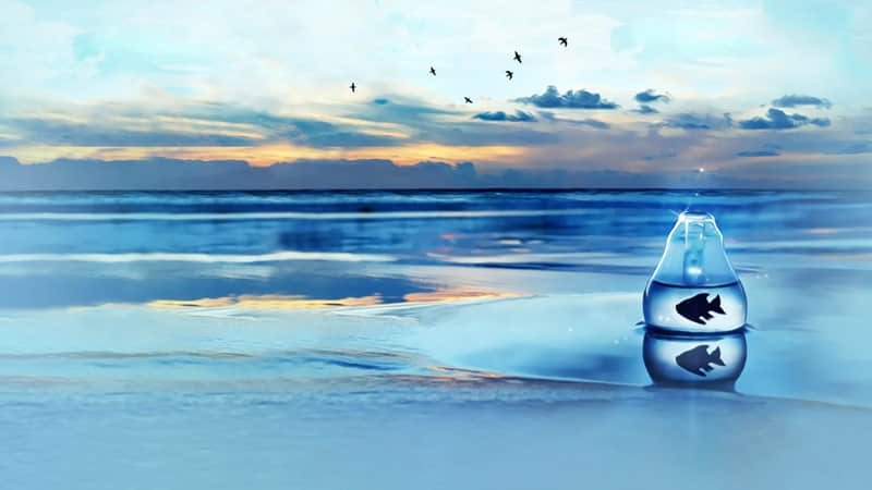 ��3��1�ţ�����Ȧһ��Ҫ����������