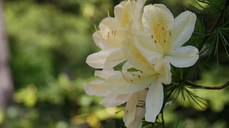 ��3��1��������������Ȧ��Ц������??