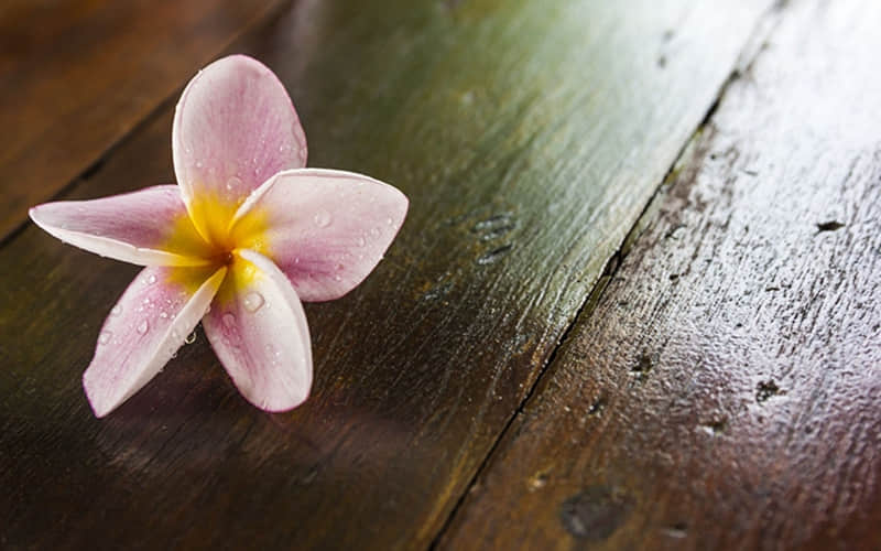 Ԫ���ڿ����İ����ϡ�