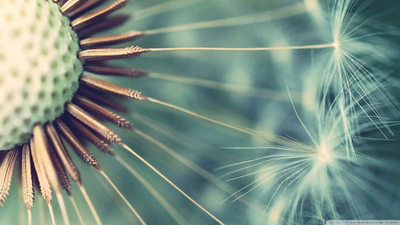 �� 2?2?/??.????3��1�գ��뷢����һ��������Ȧ��