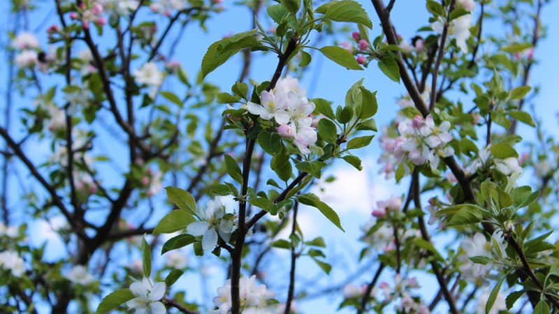 “好文案,一句就够了,人间清醒~?? ”_wishdown.com “好文案,一句就够了,人间清醒~?? ”_wishdown.com