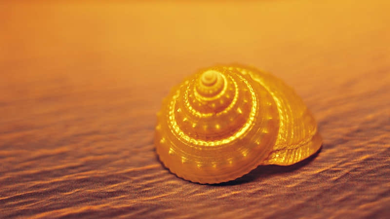 ����һ�䣬ȥ�����������Ȧ��