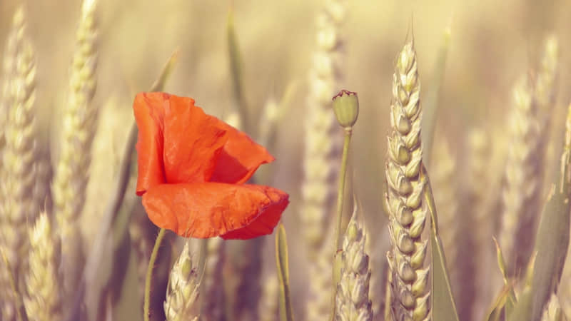 ����������Ȧ��������̫�ио��ˡ�