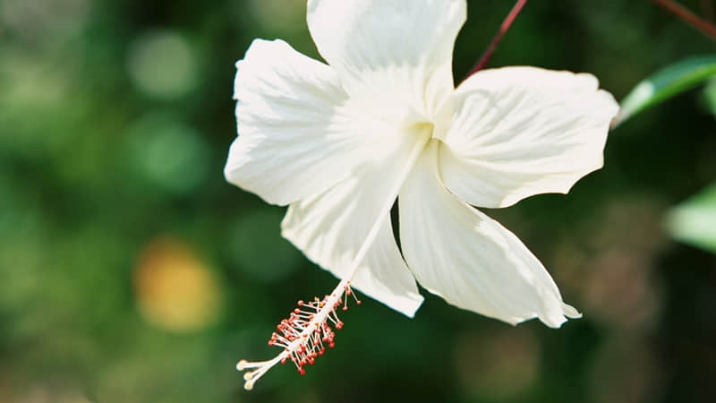 “央视文案才是天花板,句句绝美,太高级了!”_wishdown.com “央视文案才是天花板,句句绝美,太高级了!”_wishdown.com