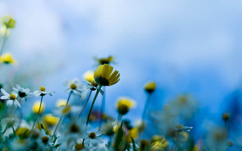 “2?2?/??.??元宵节,朋友圈一定要这样发”_wishdown.com “2?2?/??.??元宵节,朋友圈一定要这样发”_wishdown.com