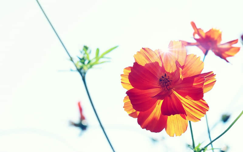 ��һ��������ô���㣬��ʵ����������~��