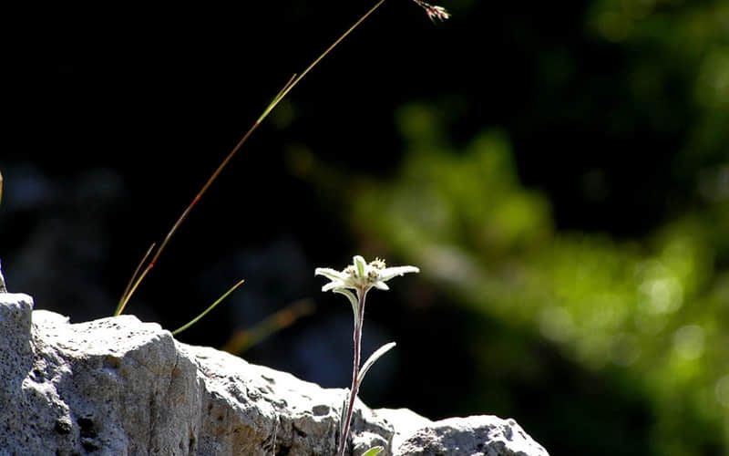 “一个男人这么对你,其实就是嫌弃你~”_wishdown.com “一个男人这么对你,其实就是嫌弃你~”_wishdown.com