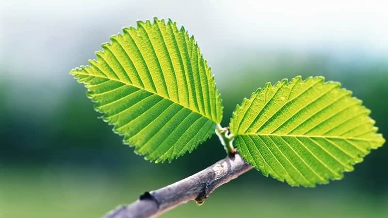 “句句不提离婚,句句都是离婚??”_wishdown.com “句句不提离婚,句句都是离婚??”_wishdown.com