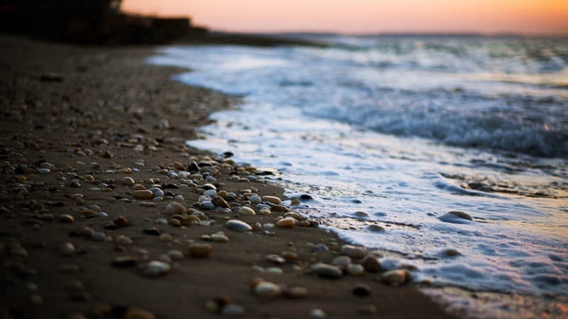 "偷一条,去恶心死你的朋友"_wishdown.com "偷一条,去恶心死你的朋友"_wishdown.com