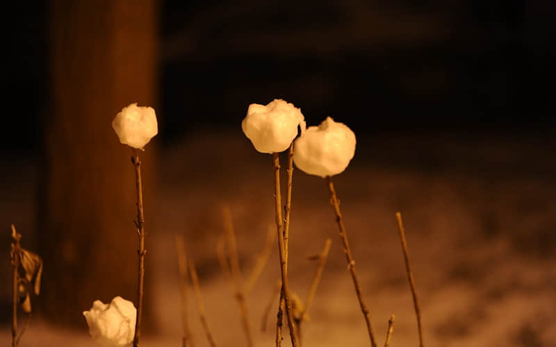 �������һ��Ů��ʱ������ı��֣��������֡�