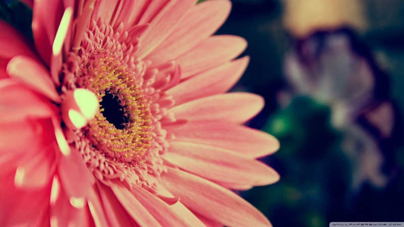 “2?2?/?.?元宵节这么发,朋友圈会被翻烂_wishdown.com “2?2?/?.?元宵节这么发,朋友圈会被翻烂_wishdown.com