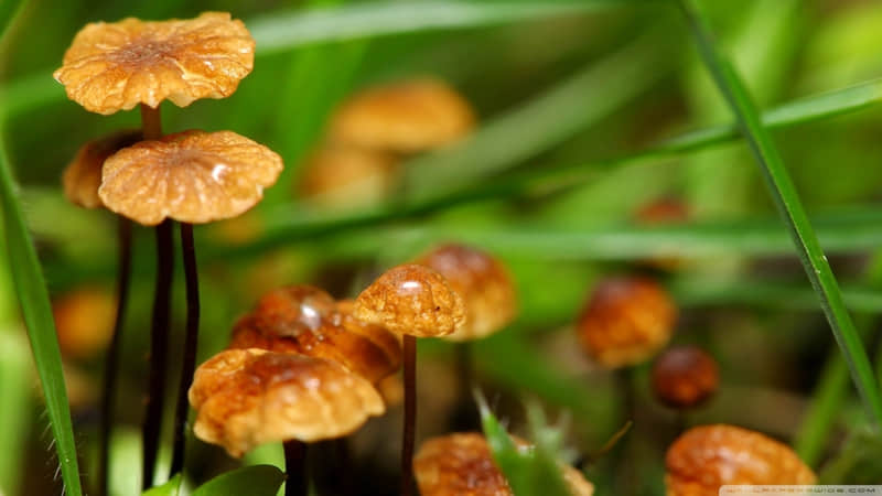 “2?2?/?.?元宵节这么发,朋友圈会被翻烂_wishdown.com “2?2?/?.?元宵节这么发,朋友圈会被翻烂_wishdown.com