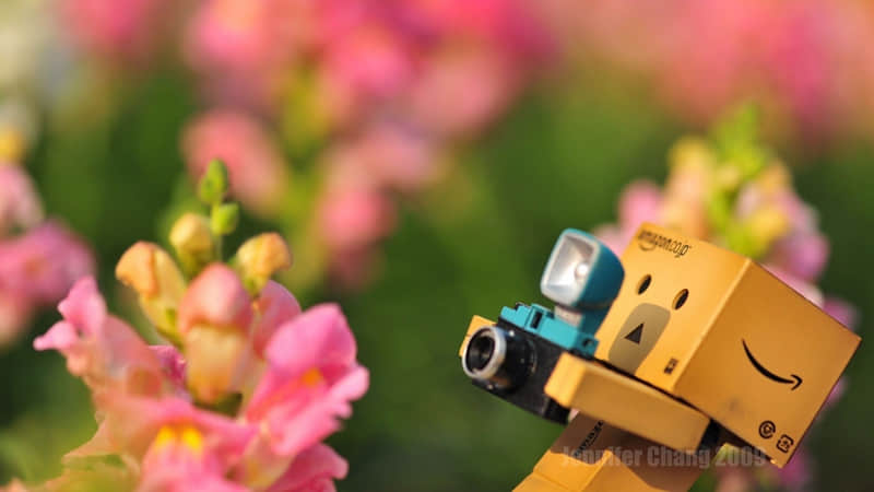 “2?2?/??.???? 元宵节,请发一条不一样的朋友圈_wishdown.com “2?2?/??.???? 元宵节,请发一条不一样的朋友圈_wishdown.com