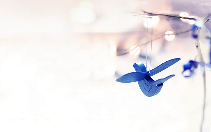 “2?2?/??.???? 元宵节,请发一条不一样的朋友圈_wishdown.com “2?2?/??.???? 元宵节,请发一条不一样的朋友圈_wishdown.com