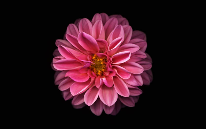 ����ʮ�塤��Ԫ�����ؼ���Բ����ʱ��ף�����İ�����~