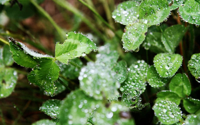 元宵节??,朋友圈就这样发,太有感觉了_wishdown.com 元宵节??,朋友圈就这样发,太有感觉了_wishdown.com