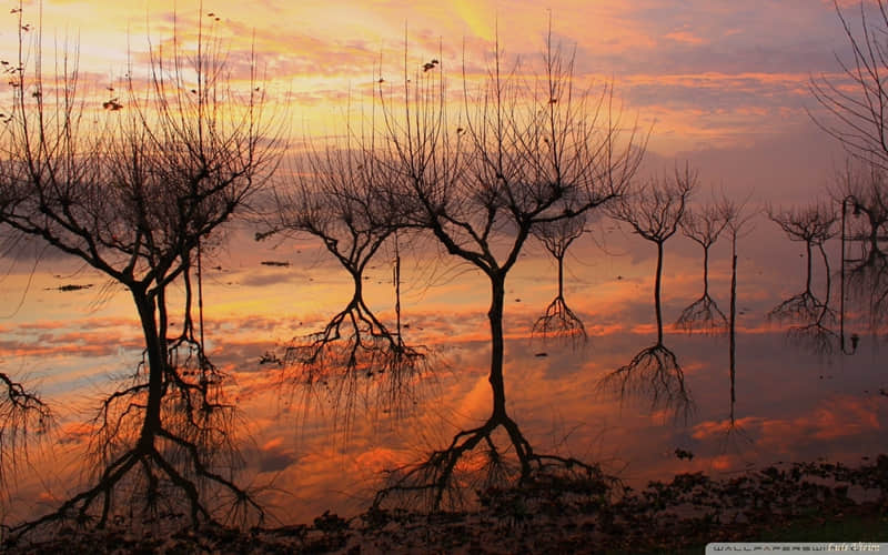 元宵节??,朋友圈就这样发,太有感觉了_wishdown.com 元宵节??,朋友圈就这样发,太有感觉了_wishdown.com