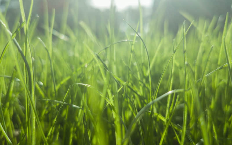 句句不提生日,句句都是生日_wishdown.com 句句不提生日,句句都是生日_wishdown.com