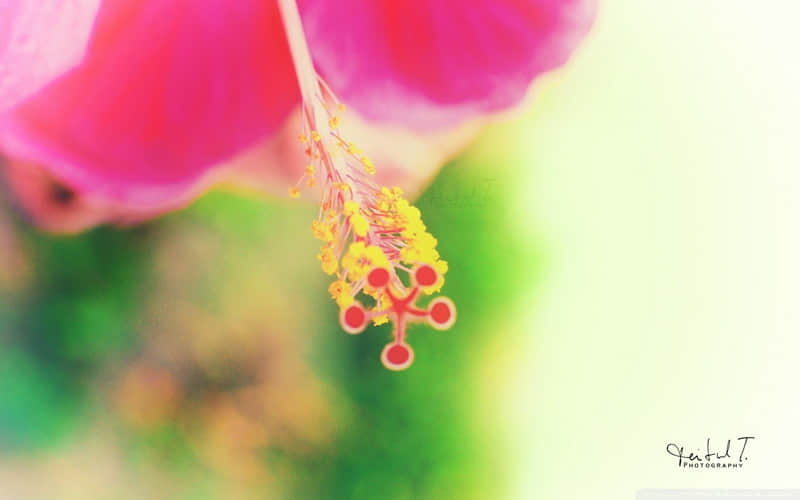 ????????元宵节朋友圈发圈文案 ??ˋ???ˊ?_wishdown.com ????????元宵节朋友圈发圈文案 ??ˋ???ˊ?_wishdown.com