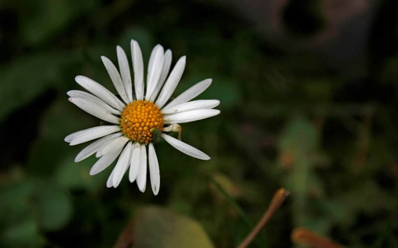 关系已解除,就此别过吧_wishdown.com 关系已解除,就此别过吧_wishdown.com