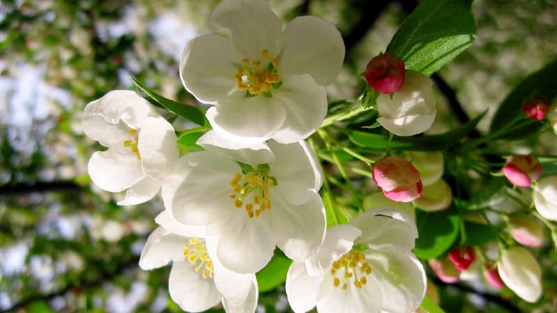 元宵节,朋友圈一定要这样发,太有感觉了~_wishdown.com 元宵节,朋友圈一定要这样发,太有感觉了~_wishdown.com