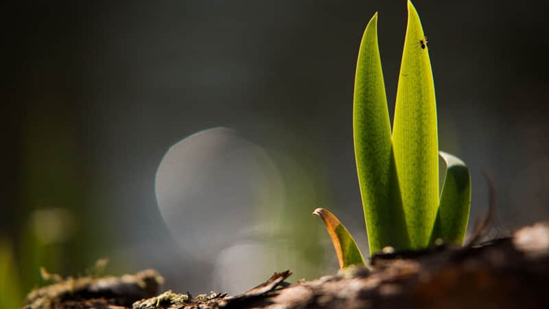 ??超哇塞的????????小美好文案??~_wishdown.com ??超哇塞的????????小美好文案??~_wishdown.com