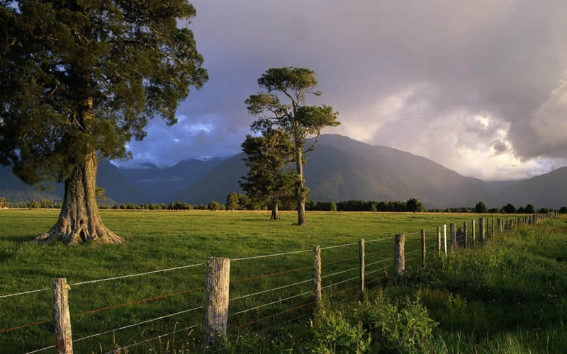 正月十五元宵节,请发一条不一样的朋友圈_wishdown.com 正月十五元宵节,请发一条不一样的朋友圈_wishdown.com