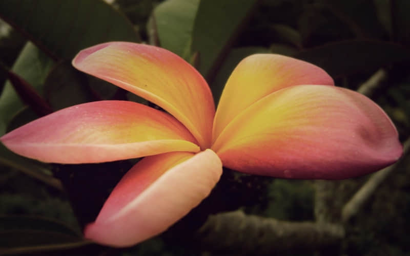 正月十五元宵节,请发一条不一样的朋友圈_wishdown.com 正月十五元宵节,请发一条不一样的朋友圈_wishdown.com