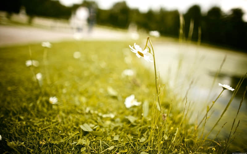 ???????? ,老己?? 你的个性签名该换了_wishdown.com ???????? ,老己?? 你的个性签名该换了_wishdown.com