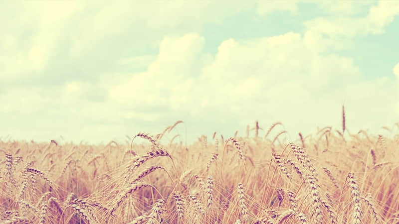 ???????? ,老己?? 你的个性签名该换了_wishdown.com ???????? ,老己?? 你的个性签名该换了_wishdown.com