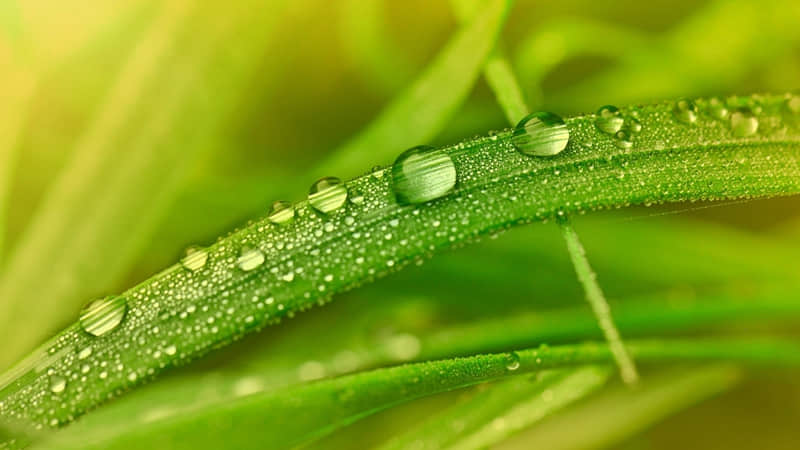 ����󷽵��㣬����Ȧ�͸�������