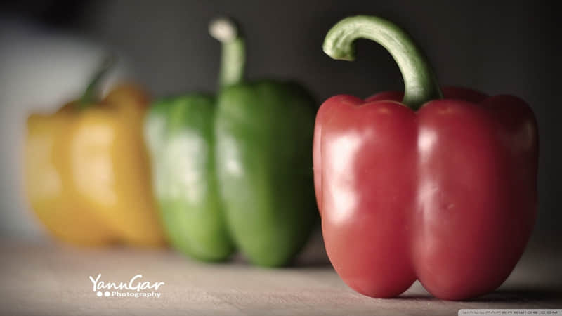 落落大方的你,朋友圈就该这样发_wishdown.com 落落大方的你,朋友圈就该这样发_wishdown.com