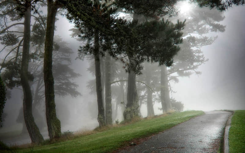 这才是成年人该发的朋友圈,太有感觉了_wishdown.com 这才是成年人该发的朋友圈,太有感觉了_wishdown.com