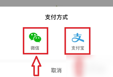 婚贝请柬如何开通会员 婚贝请柬开通会员方法_wishdown.com 婚贝请柬如何开通会员 婚贝请柬开通会员方法_wishdown.com