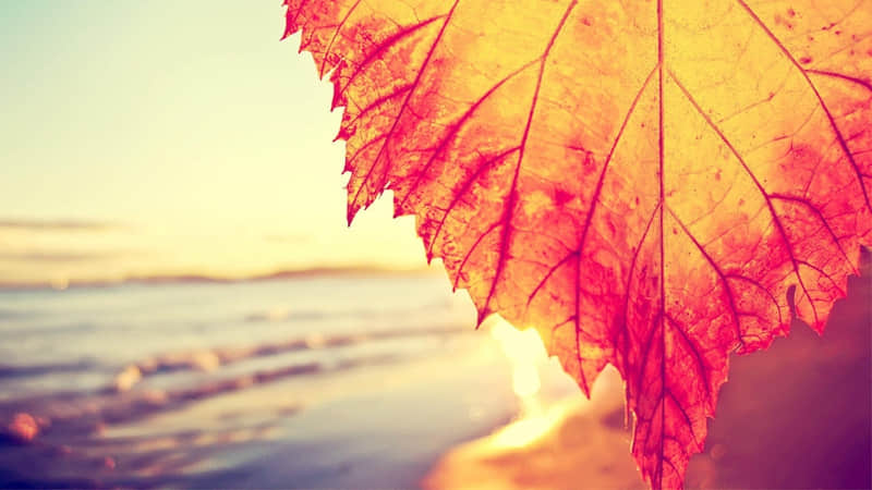 ????????��ͻȻһ���ӾͲ������ˣ���ˬ����??