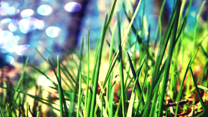 �꣬�����������ˣ�д����ã�