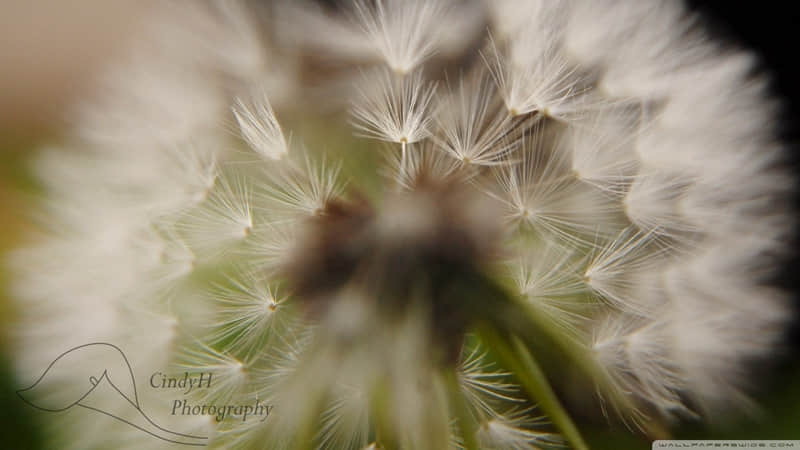 ͵һ�䣬��Ů���ɶ��ɱ������黰