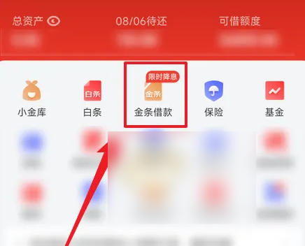 京东白条怎么查看 京东金融查看借款记录方法_wishdown.com 京东白条怎么查看 京东金融查看借款记录方法_wishdown.com