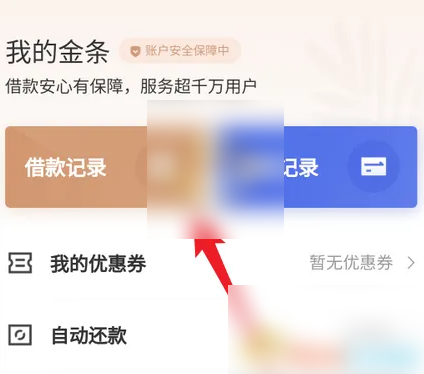 京东白条怎么查看 京东金融查看借款记录方法_wishdown.com 京东白条怎么查看 京东金融查看借款记录方法_wishdown.com