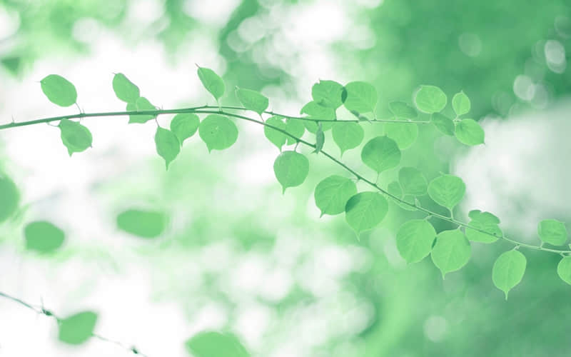 ���Ϸ�һЩԪ�������簲�̾䣬̫�߼���