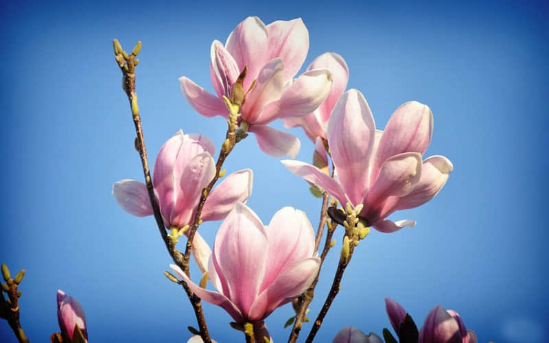 ??ˋ???ˊ?多巴胺朋友圈,可太旺自己了!??_wishdown.com ??ˋ???ˊ?多巴胺朋友圈,可太旺自己了!??_wishdown.com