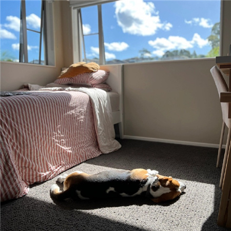 �˸е�������������(��ѡ100��)