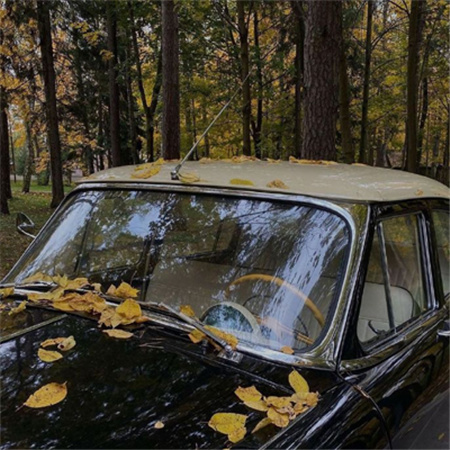 �˸еĹŷ������������(��ѡ100��)