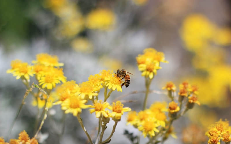 发一句,他若爱你立马崩了?????_wishdown.com 发一句,他若爱你立马崩了?????_wishdown.com