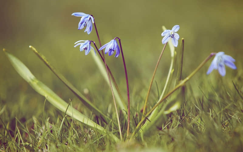 互删前发的最后一句话,句句封神_wishdown.com 互删前发的最后一句话,句句封神_wishdown.com