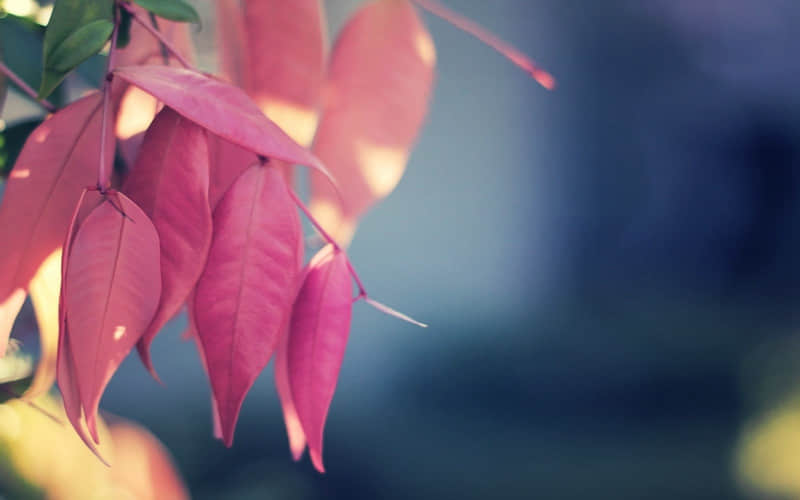 互删前发的最后一句话,句句封神_wishdown.com 互删前发的最后一句话,句句封神_wishdown.com