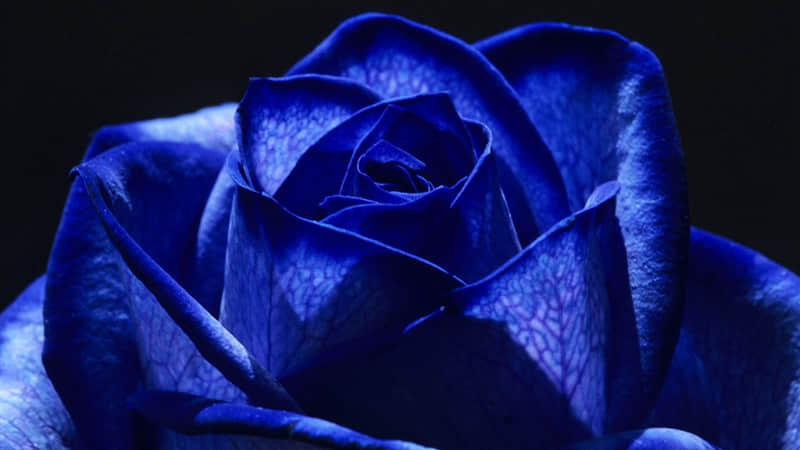 ?????????向前看,好好生活文案~_wishdown.com ?????????向前看,好好生活文案~_wishdown.com