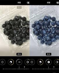 ��ݮ��Ƶapp��������˾�-��ݮ��Ƶapp���������˾�